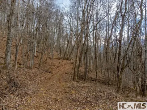 00 Henry Road Franklin NC 28734