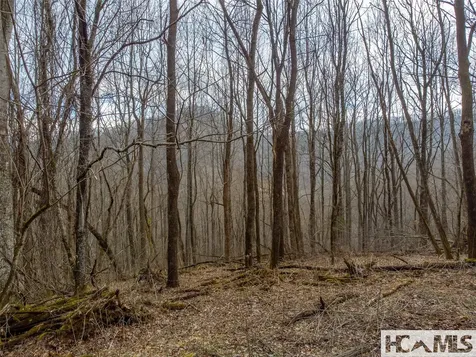 00 Henry Road Franklin NC 28734