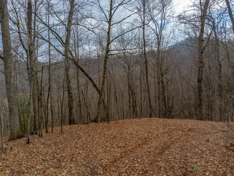 00 Henry Road Franklin NC 28734