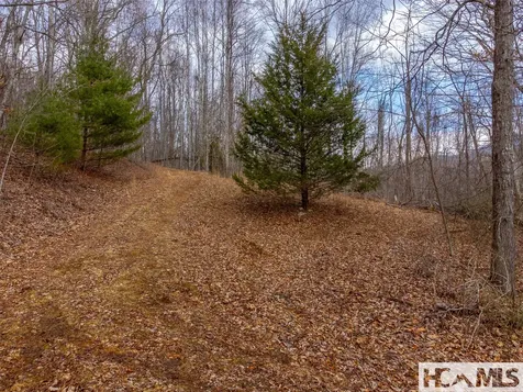 00 Henry Road Franklin NC 28734