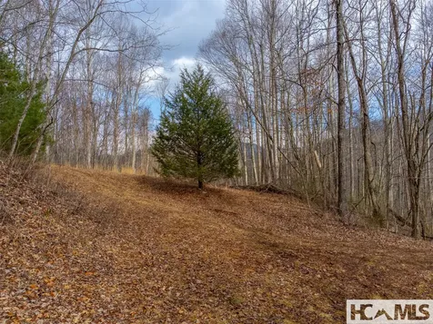00 Henry Road Franklin NC 28734