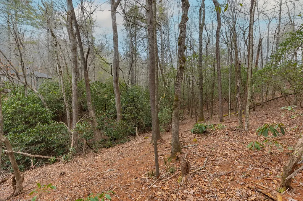 Lot 48 Winding Creek Road Sapphire NC 28774