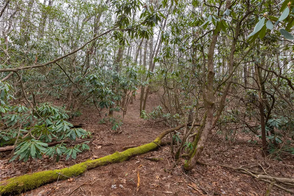 Lot 48 Winding Creek Road Sapphire NC 28774