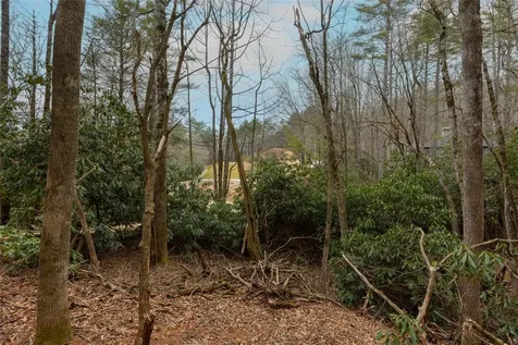 Lot 48 Winding Creek Road Sapphire NC 28774