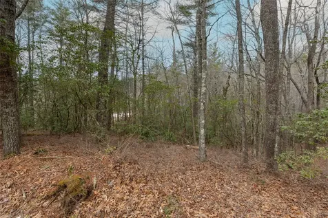 Lot 48 Winding Creek Road Sapphire NC 28774