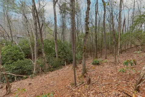 Lot 48 Winding Creek Road Sapphire NC 28774
