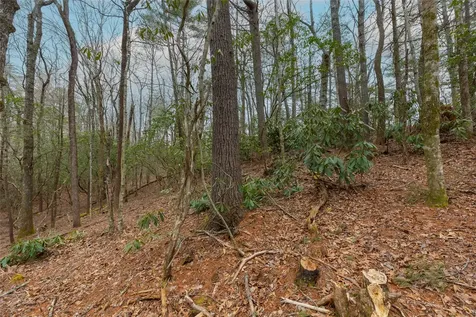 Lot 48 Winding Creek Road Sapphire NC 28774