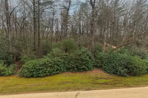 Lot 48 Winding Creek Road Sapphire NC 28774
