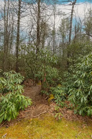 Lot 48 Winding Creek Road Sapphire NC 28774