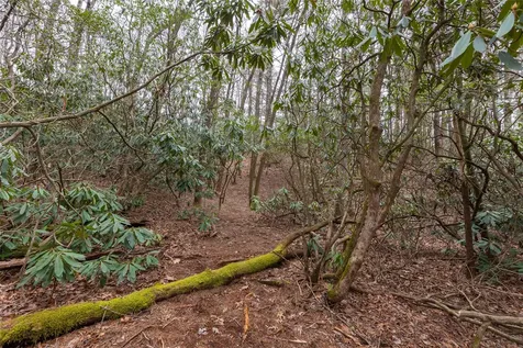 Lot 48 Winding Creek Road Sapphire NC 28774