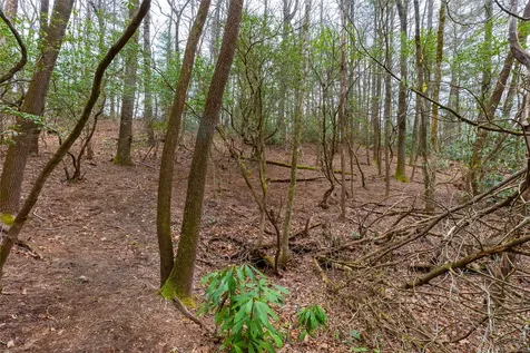Lot 48 Winding Creek Road Sapphire NC 28774