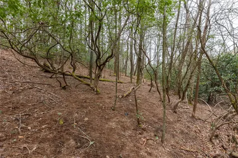 Lot 48 Winding Creek Road Sapphire NC 28774