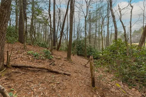 Lot 48 Winding Creek Road Sapphire NC 28774