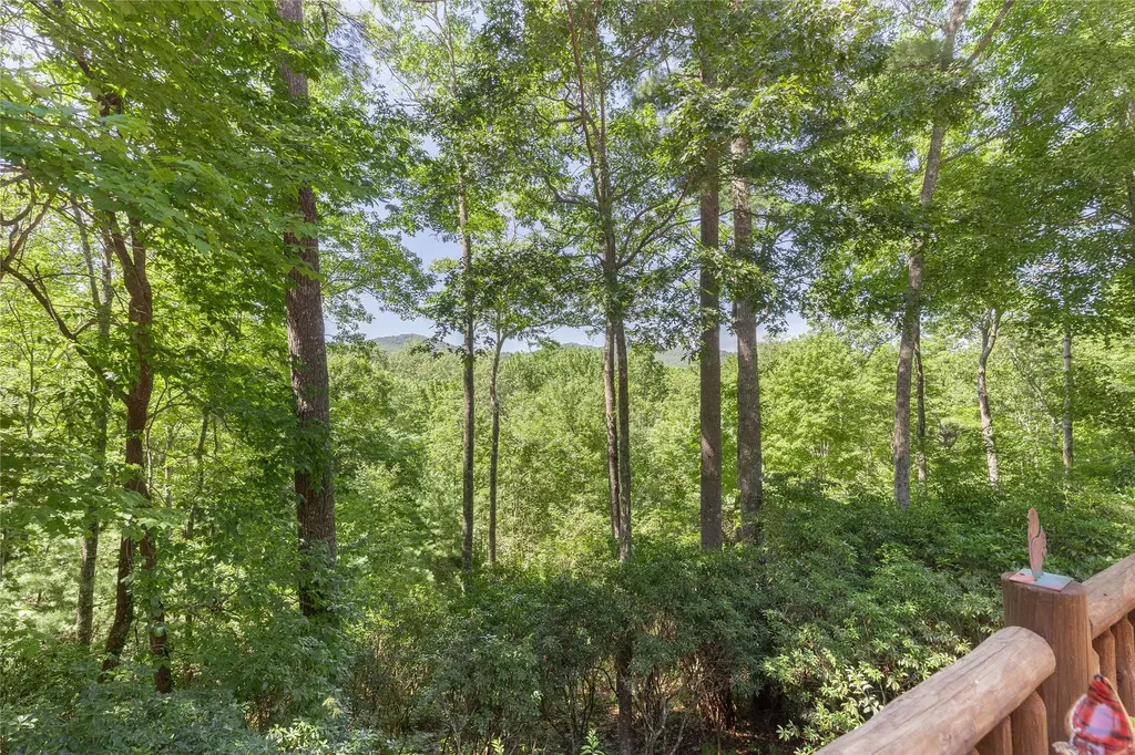 92 Rocky Ridge Road Sapphire NC 28774