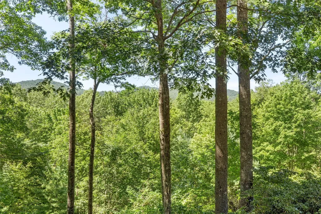 92 Rocky Ridge Road Sapphire NC 28774