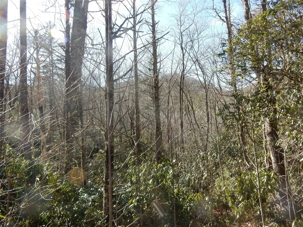 85 Fishing Village Lane Cullowhee NC 28723