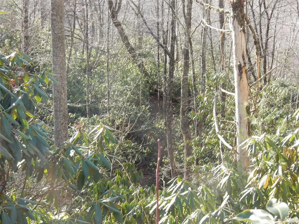 85 Fishing Village Lane Cullowhee NC 28723