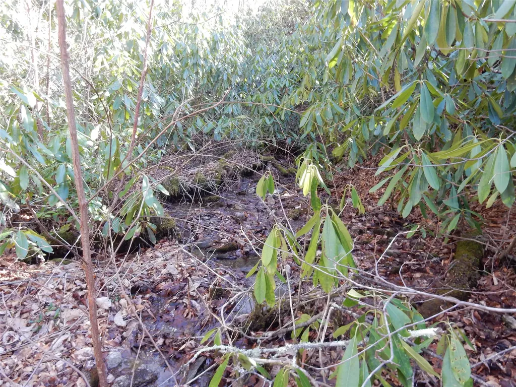 85 Fishing Village Lane Cullowhee NC 28723