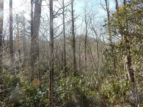 85 Fishing Village Lane Cullowhee NC 28723