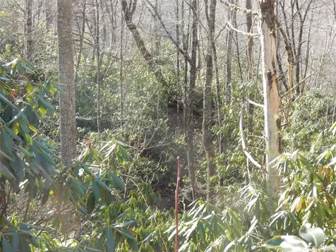 85 Fishing Village Lane Cullowhee NC 28723