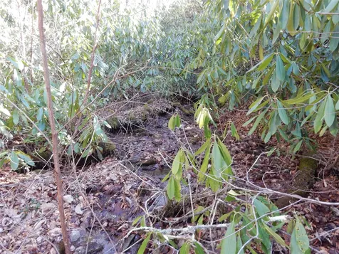 85 Fishing Village Lane Cullowhee NC 28723