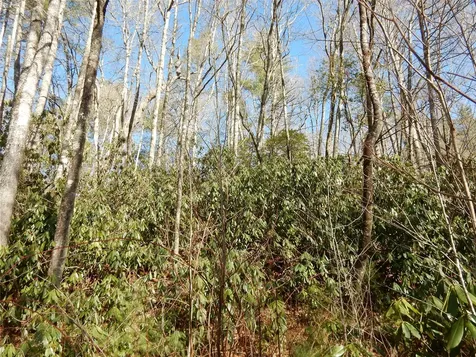 85 Fishing Village Lane Cullowhee NC 28723