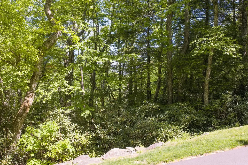 Lot 10 Ravenel Ridge Road Highlands NC 28741