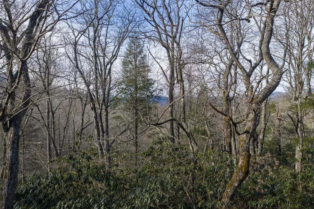 Lot 10 Ravenel Ridge Road Highlands NC 28741