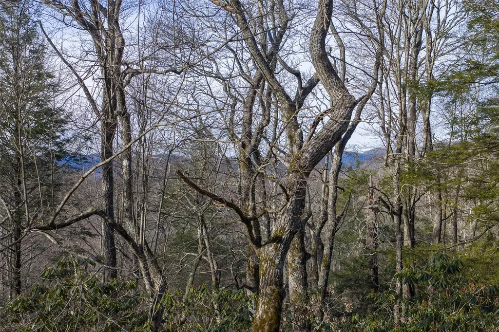 Lot 10 Ravenel Ridge Road Highlands NC 28741
