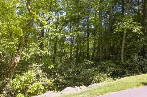 Lot 10 Ravenel Ridge Road Highlands NC 28741