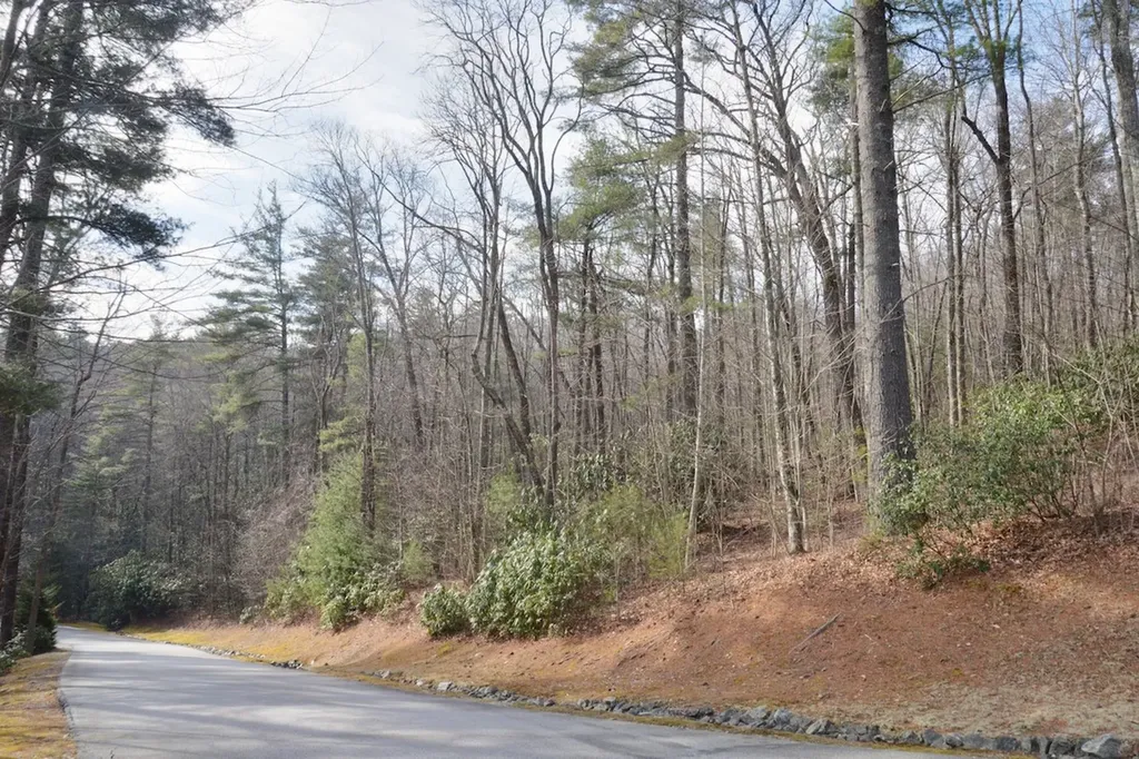 42 Ledgeview Road Cashiers NC 28717