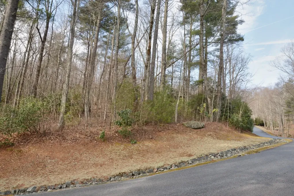 42 Ledgeview Road Cashiers NC 28717