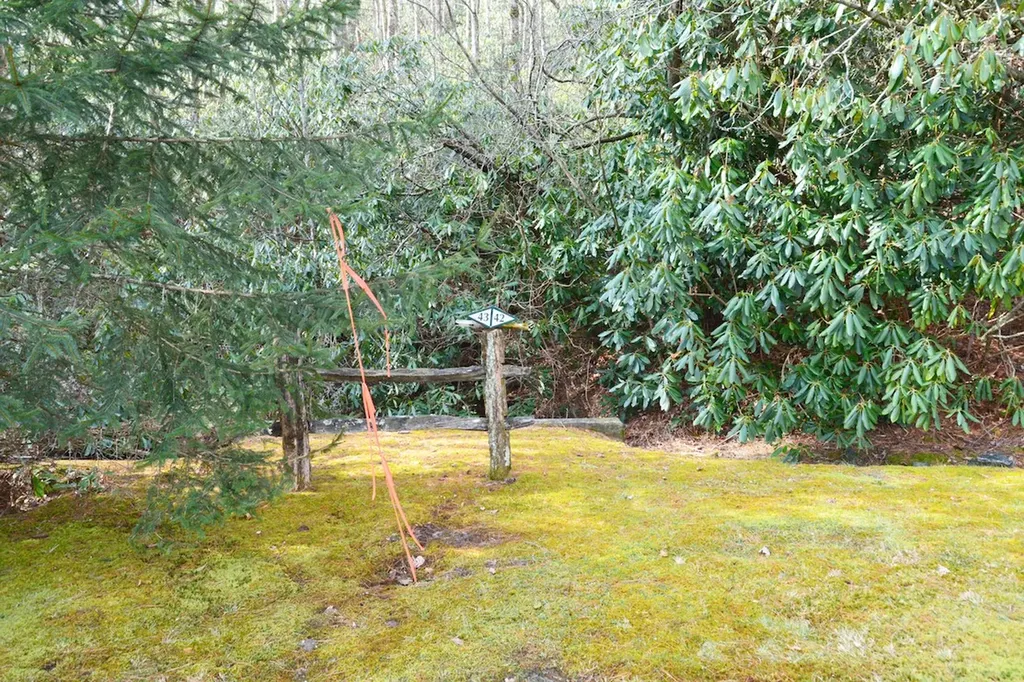 42 Ledgeview Road Cashiers NC 28717