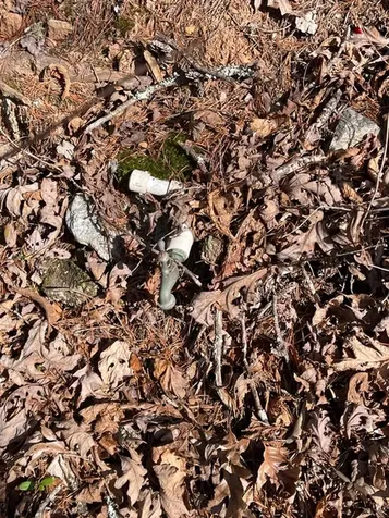 211 Hidden Hollow Lane Otto NC 28763