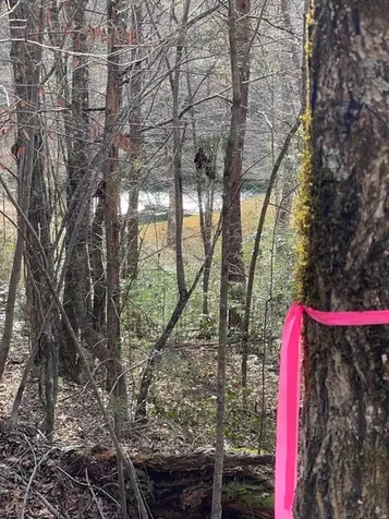 211 Hidden Hollow Lane Otto NC 28763