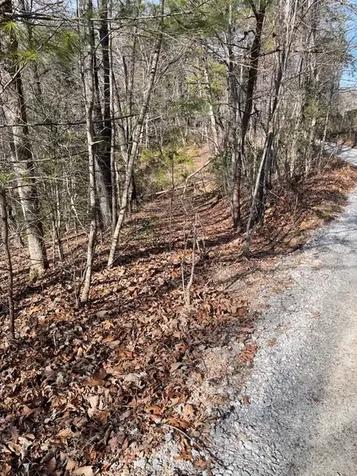 211 Hidden Hollow Lane Otto NC 28763
