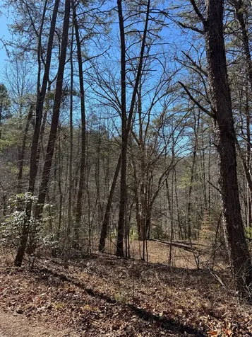 211 Hidden Hollow Lane Otto NC 28763