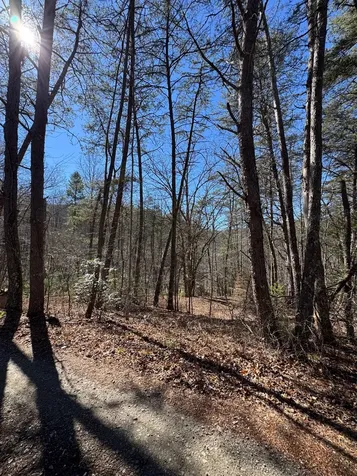 211 Hidden Hollow Lane Otto NC 28763