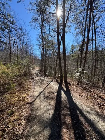 211 Hidden Hollow Lane Otto NC 28763