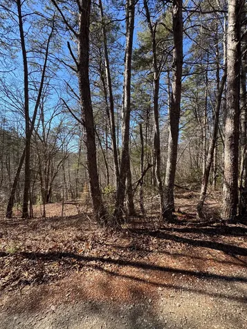 211 Hidden Hollow Lane Otto NC 28763