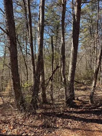 211 Hidden Hollow Lane Otto NC 28763