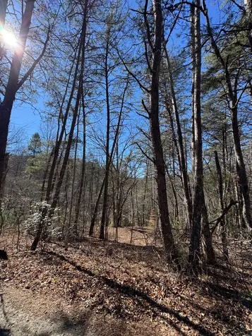 211 Hidden Hollow Lane Otto NC 28763