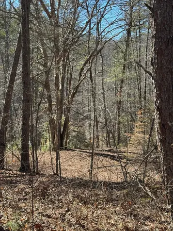 211 Hidden Hollow Lane Otto NC 28763