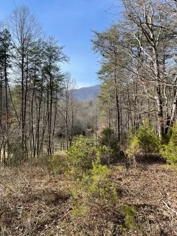 211 Hidden Hollow Lane Otto NC 28763