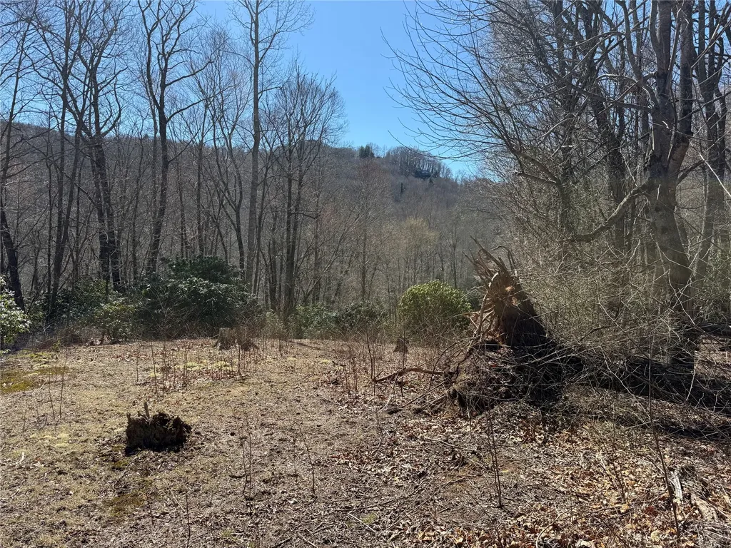 0 Gleneden Lane Cullowhee NC 28723