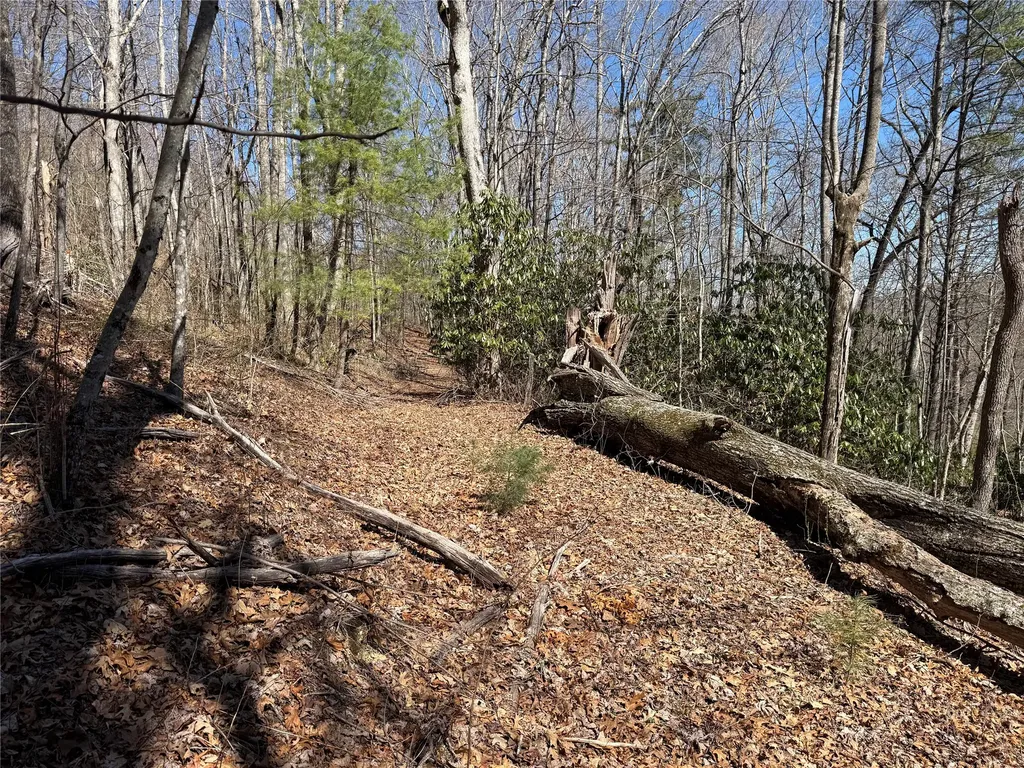 0 Gleneden Lane Cullowhee NC 28723