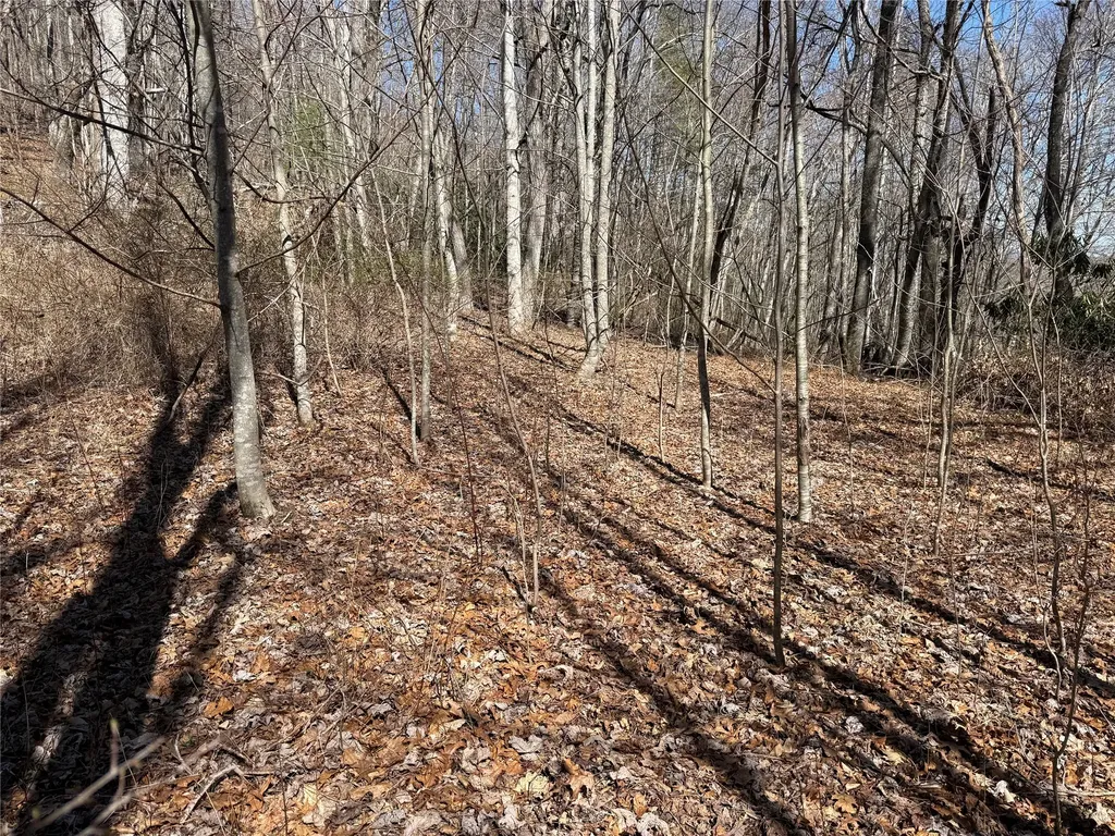 0 Gleneden Lane Cullowhee NC 28723