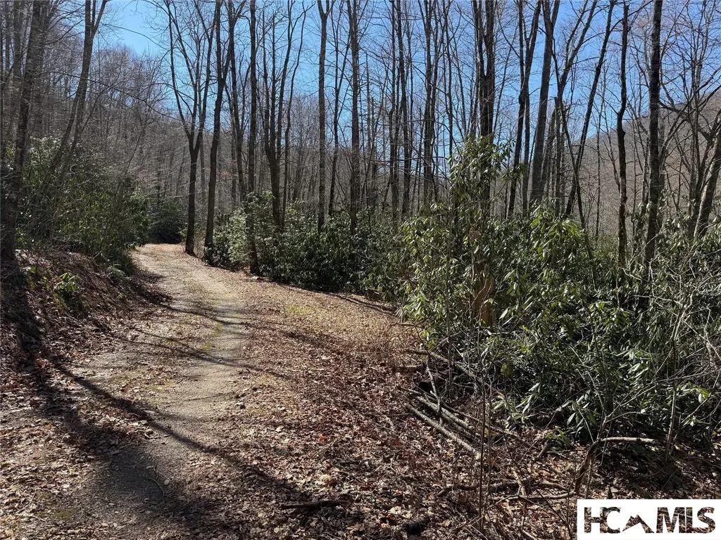 0 Gleneden Lane Cullowhee NC 28723