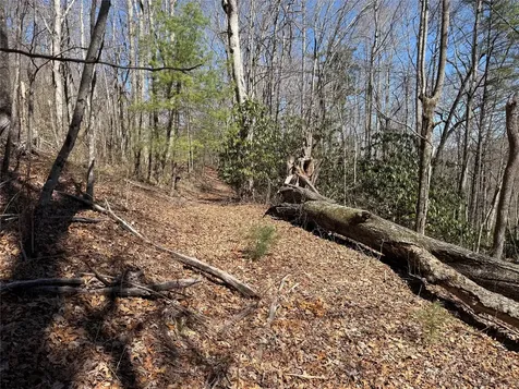 0 Gleneden Lane Cullowhee NC 28723