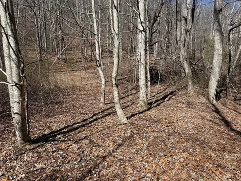 0 Gleneden Lane Cullowhee NC 28723